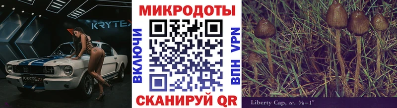 Галлюциногенные грибы GOLDEN TEACHER  купить наркотик  Новороссийск 