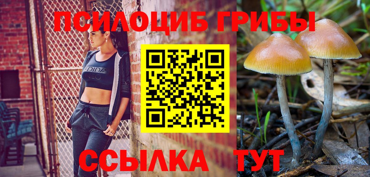 Галлюциногенные грибы Magic Shrooms Новороссийск