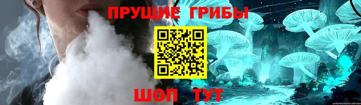 Новороссийск  где купить наркоту  Вход с VPN  Галлюциногенные грибы Cubensis  Галлюциногенные грибы Cubensis 